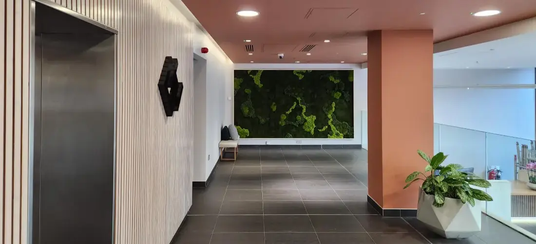Our work